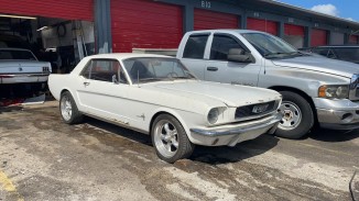 Ford Mustang 66 t5 manual 302