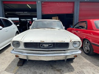 Ford Mustang 66 t5 manual 302