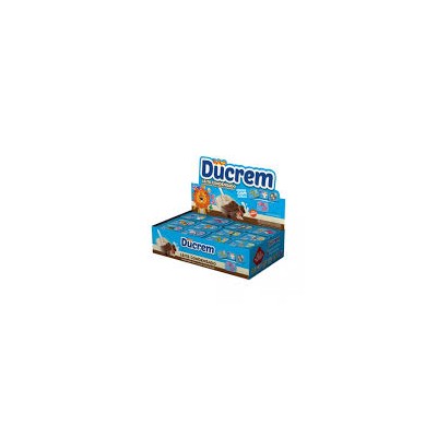 DUCREM LECHE X36 UN