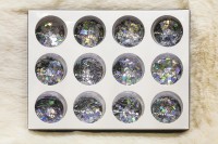 GLITTER TORNASOL VARIA FORMA 12