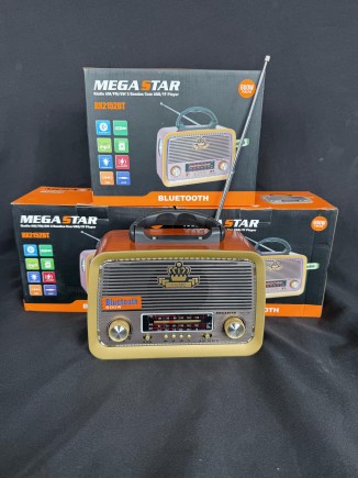 Radio Mega Star (chica)