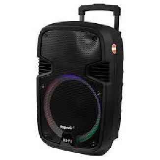 Parlante Ecopower 12"