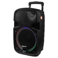 Parlante Ecopower 12"