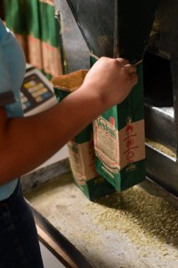 Pack Yerba Mate Verdeada Premium 500gr
